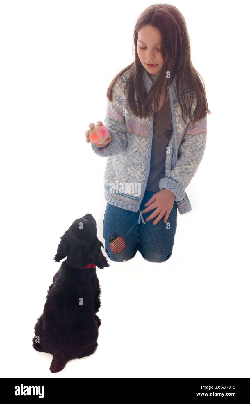Nine year old girl trains two month old black cocker spaniel Stock Photo