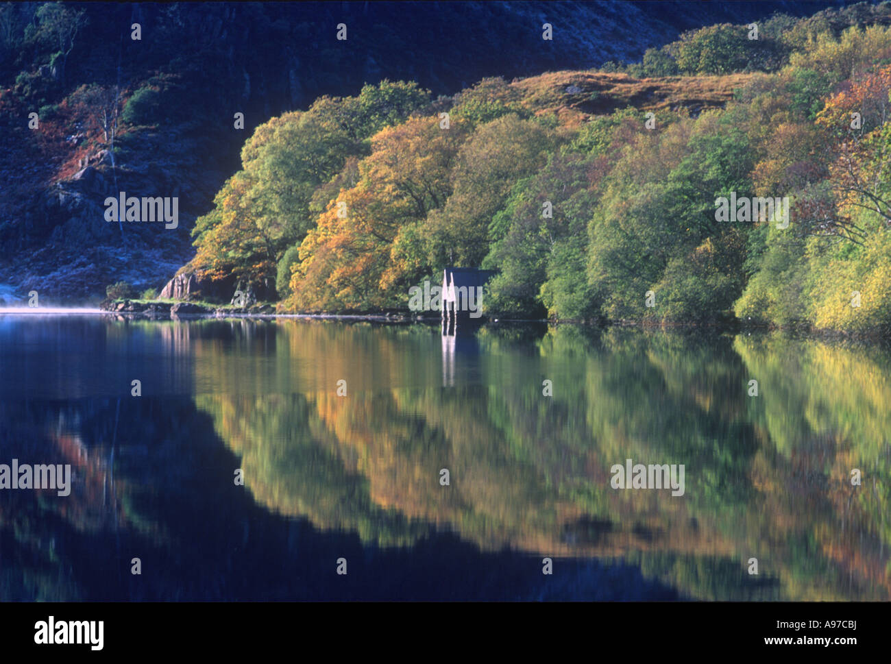 Autumn Reflections Llyn Dinas Snowdonia Stock Photo