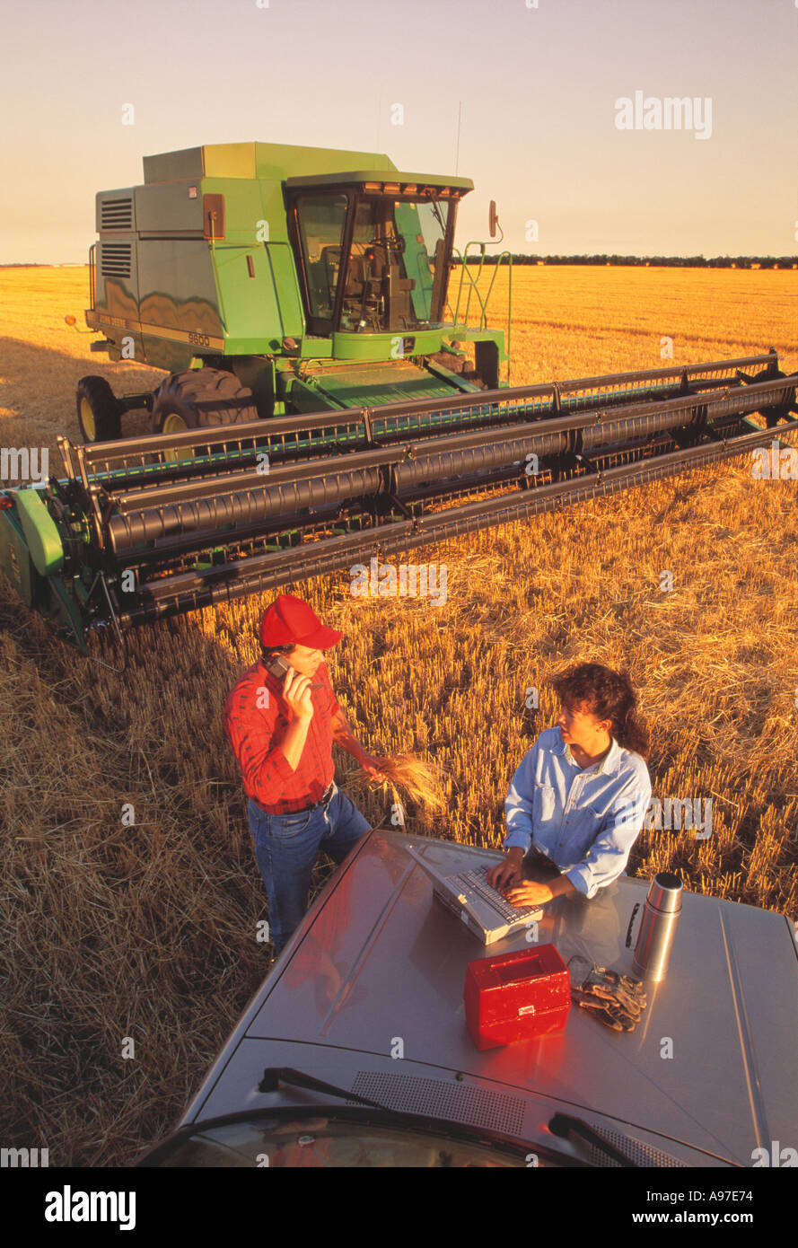 Agriculture - Farmer uses a cell phone while his wife inputs wheat harvesting information with a combine behind Manitoba, Canada Stock Photo