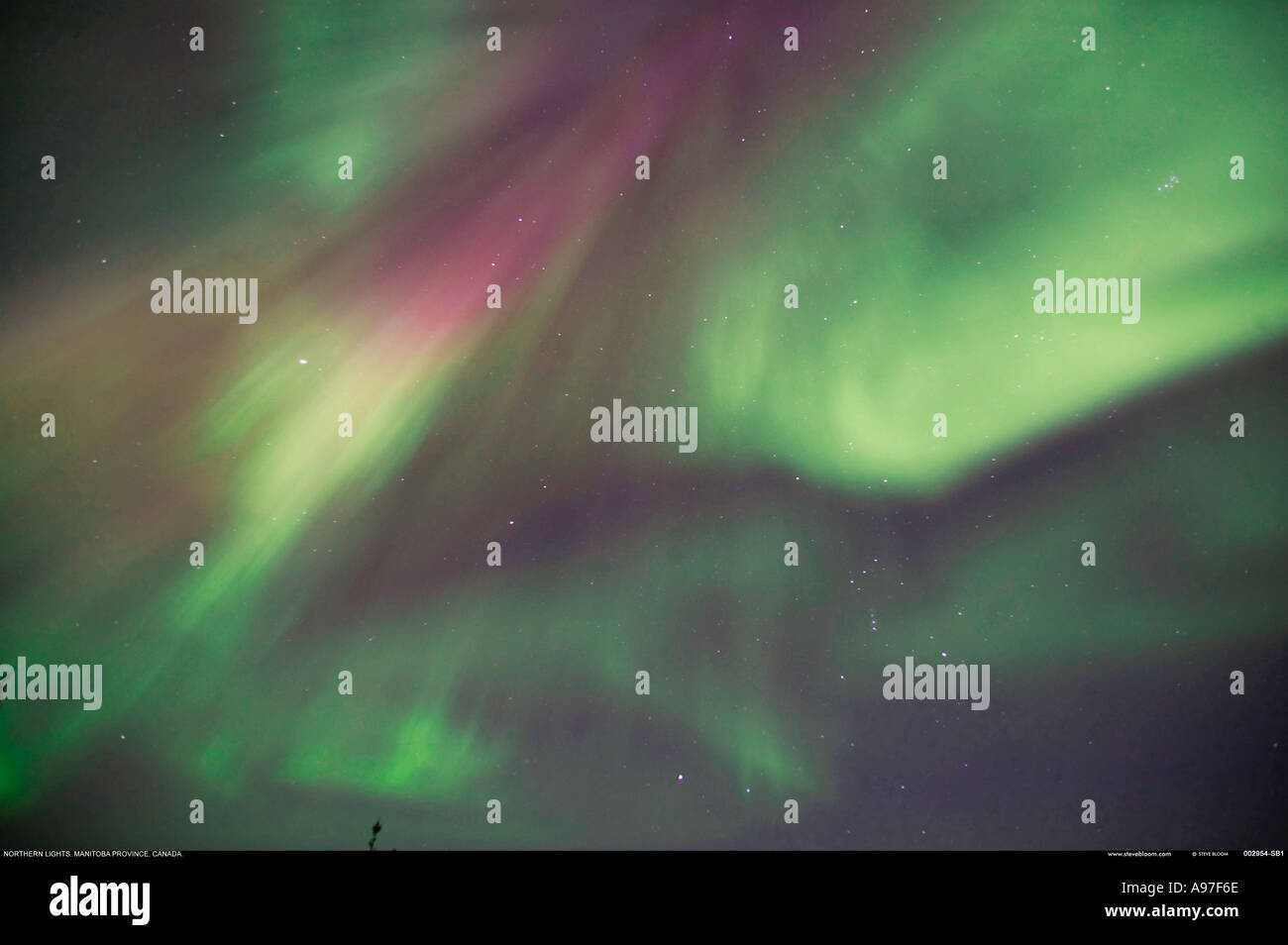 Northern Lights Canada Stock Photo