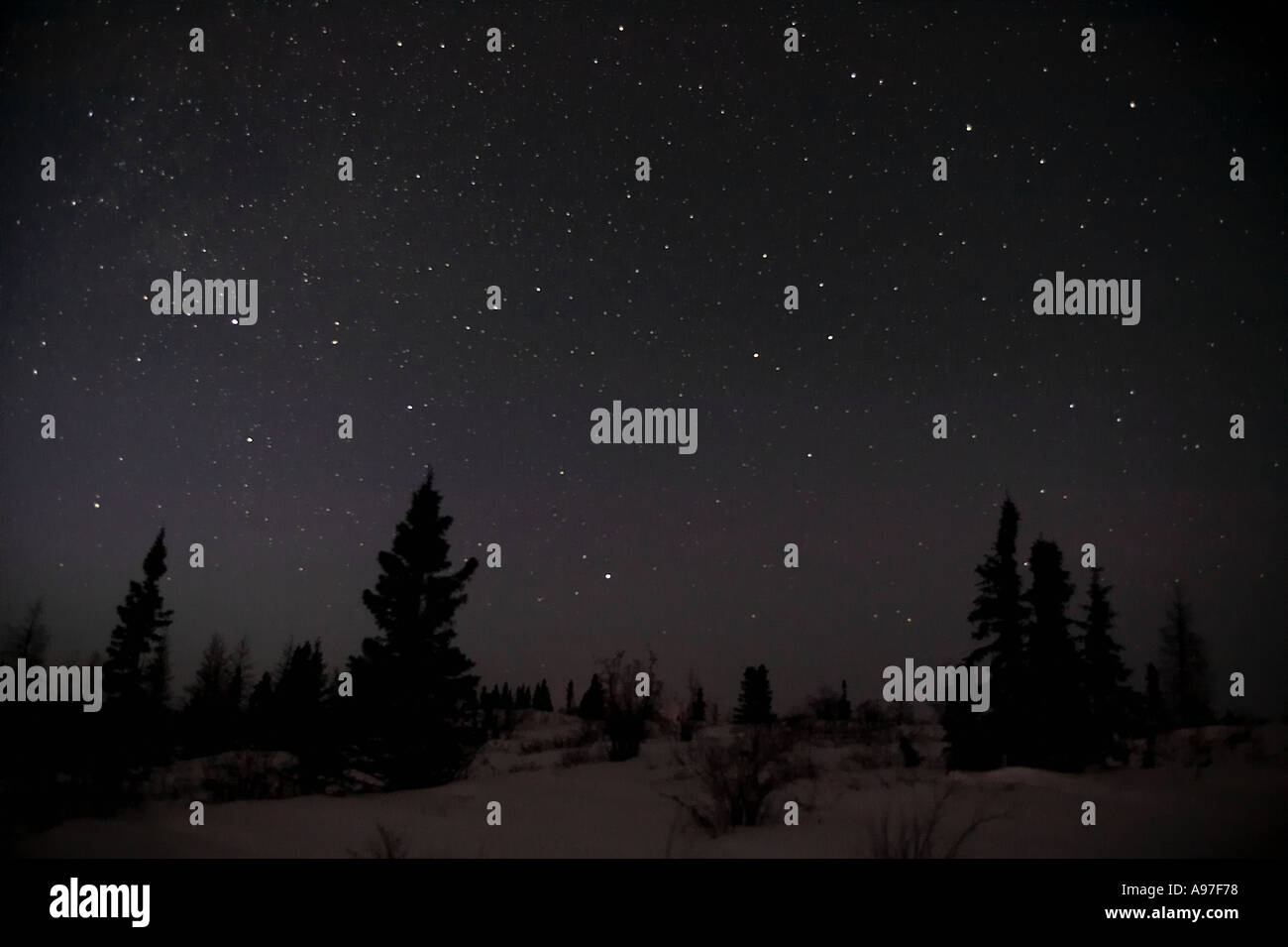 Night sky with stars Manitoba Canada Stock Photo