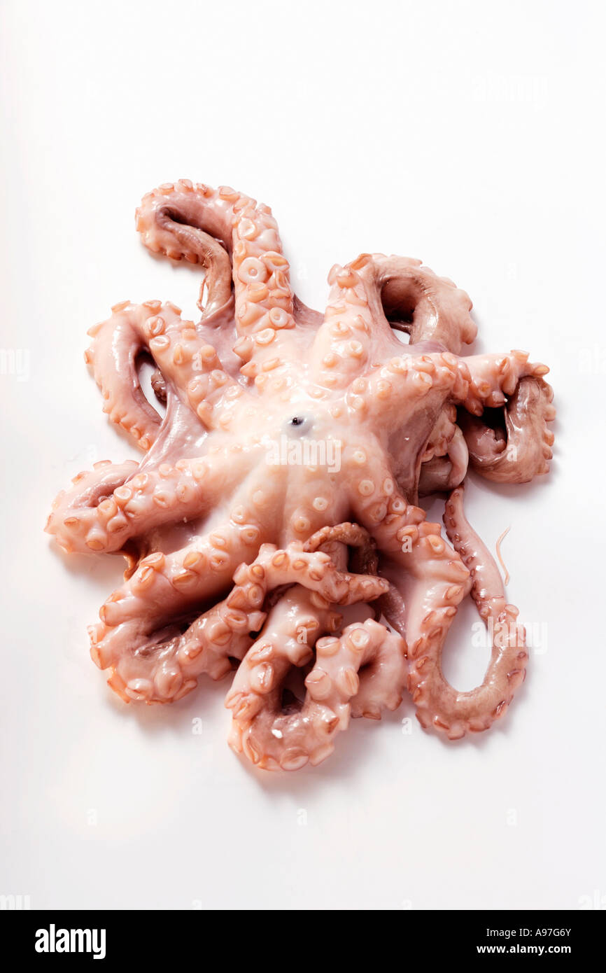 Raw whole octopus in hi-res stock photography and images - Alamy