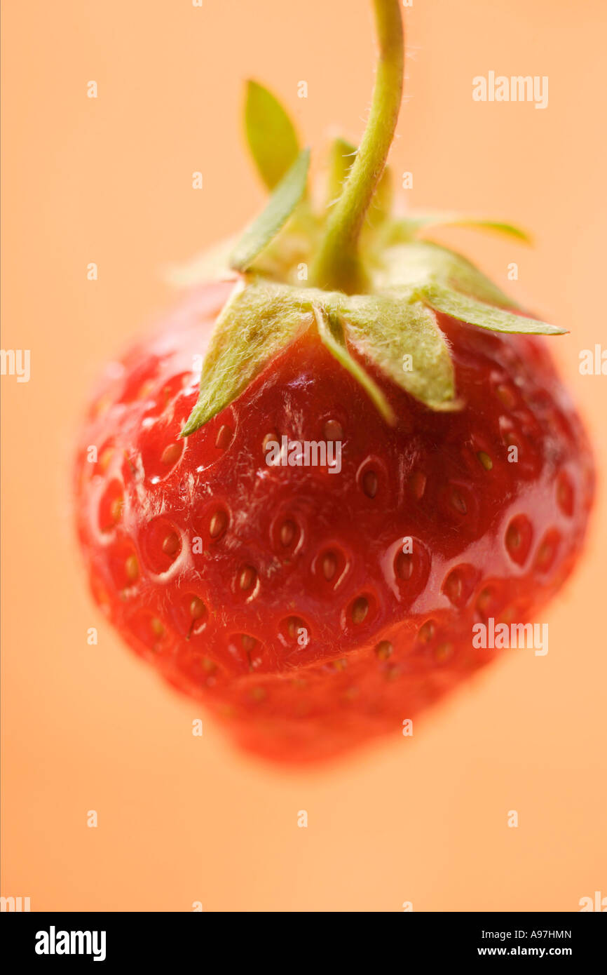 A Single Ripe Strawberry FoodCollection Stock Photo - Alamy