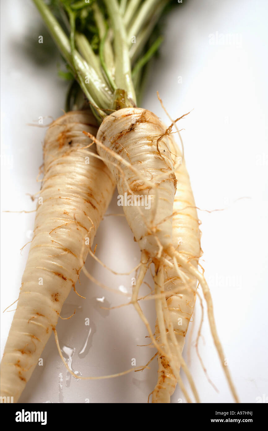 Two Hamburg parsley roots FoodCollection Stock Photo Alamy