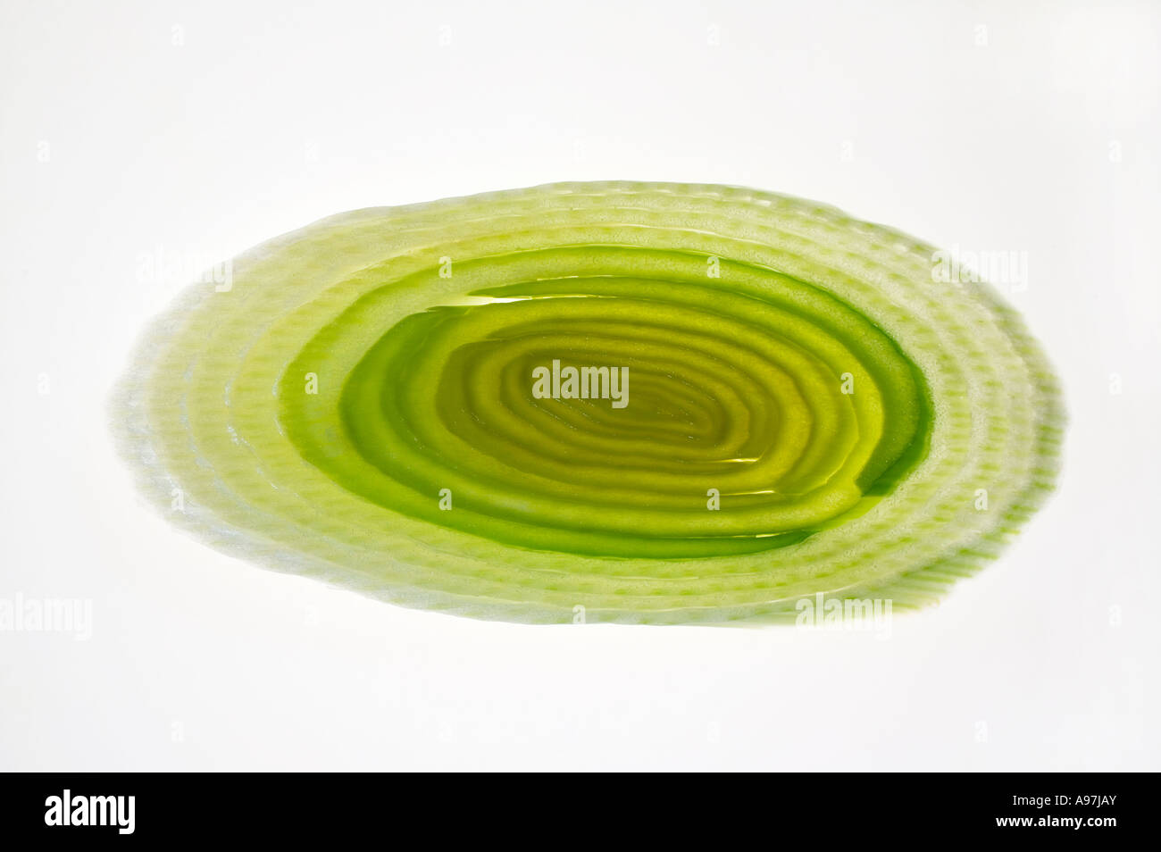 Onion slice in cross section hi-res stock photography and images - Alamy