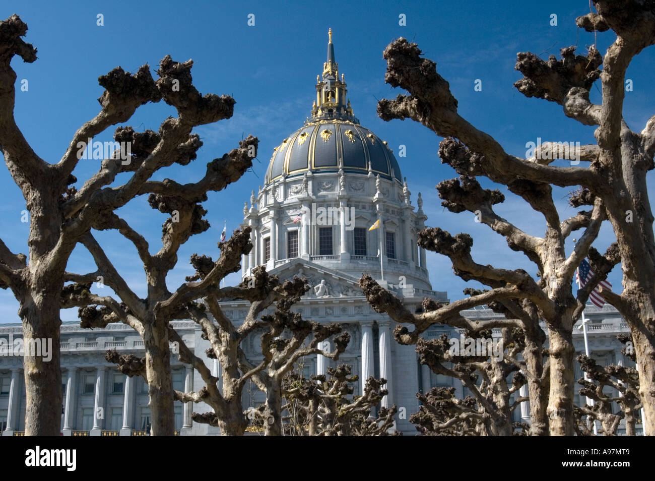 The dome of San Francisco's City Hall Stock Photo Alamy