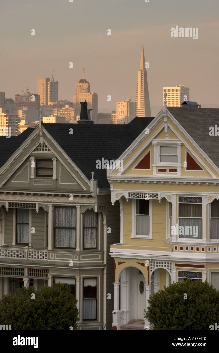 View of the traditional houses in Alamo Square, San Francisco, USA