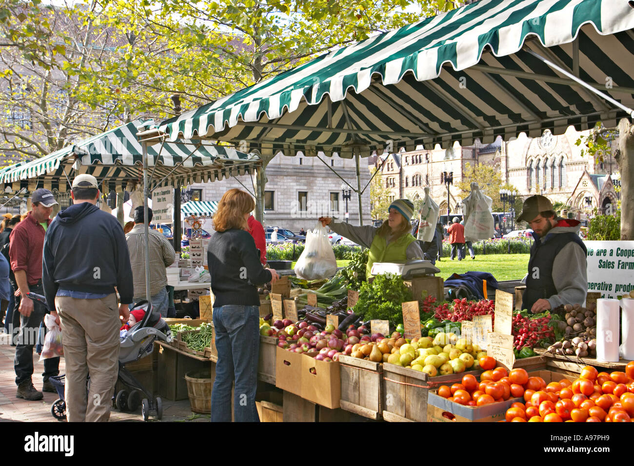 MASSACHUSETTS Boston Farmers market in Copley Square produce displayed