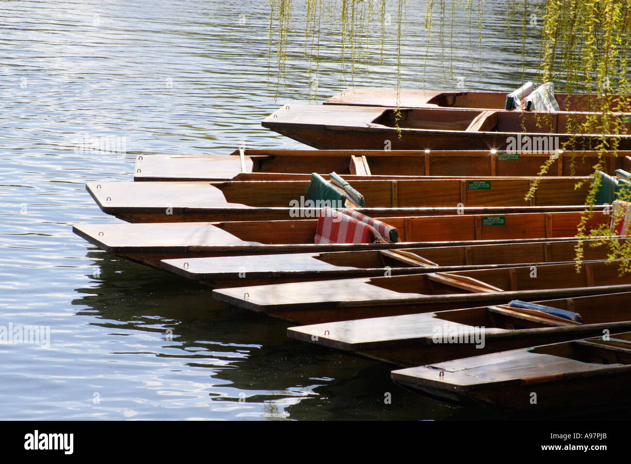Punts tied up, waiting to go, Cambridge. Stock Photo