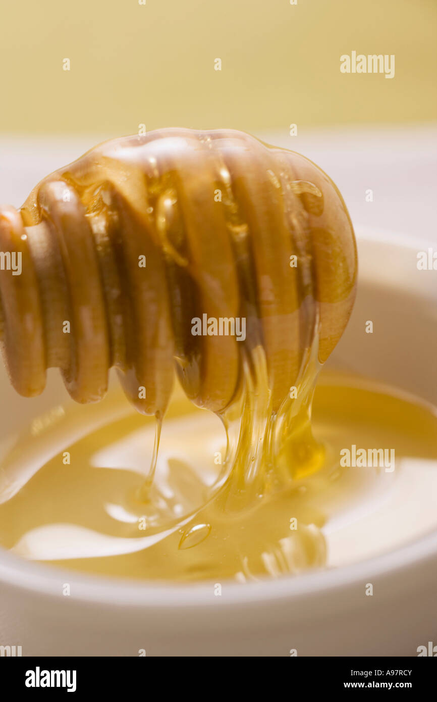 Hone running from a honey dipper 1 FoodCollection Stock Photo Alamy