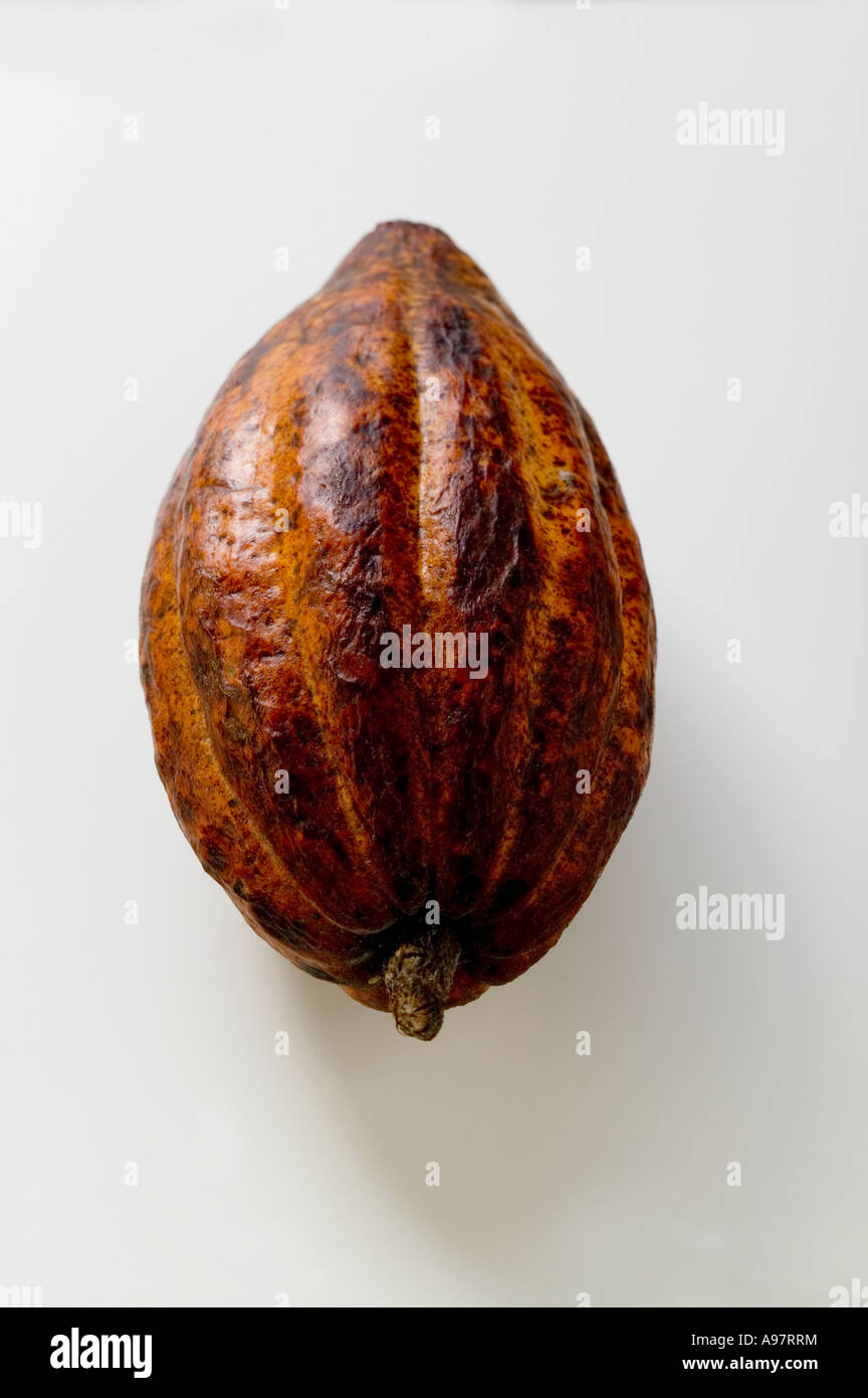 Cacao pod FoodCollection Stock Photo