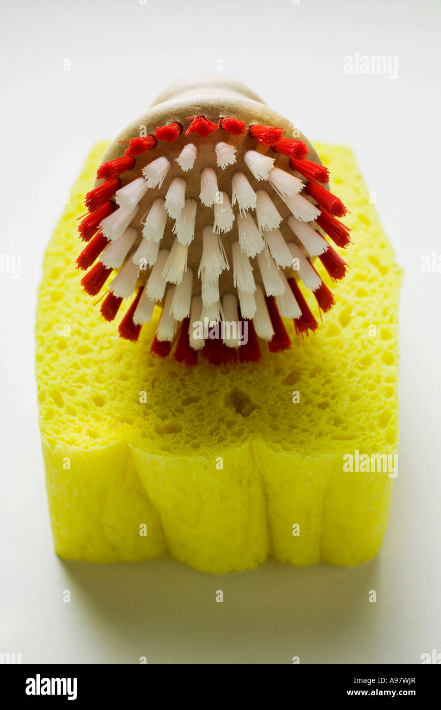 Sponge and brush FoodCollection Stock Photo Alamy