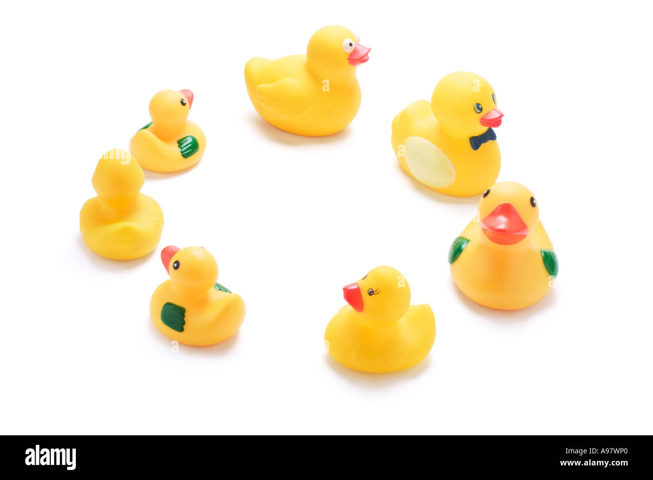 Team of ducks Cut Out Stock Images & Pictures - Alamy