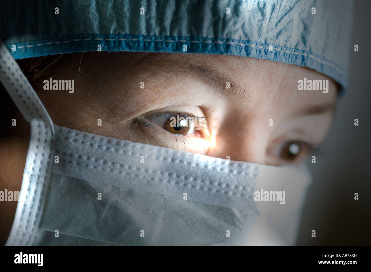 Closeup study hi-res stock photography and images - Alamy