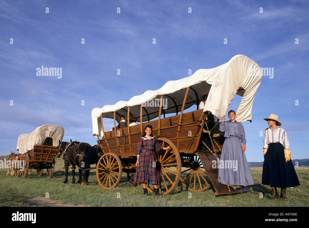 Conestoga Covered Wagon Stock Photos & Conestoga Covered Wagon Stock