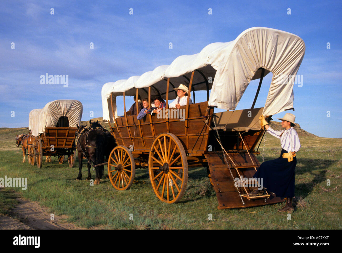 Conestoga wagons hi-res stock photography and images - Alamy