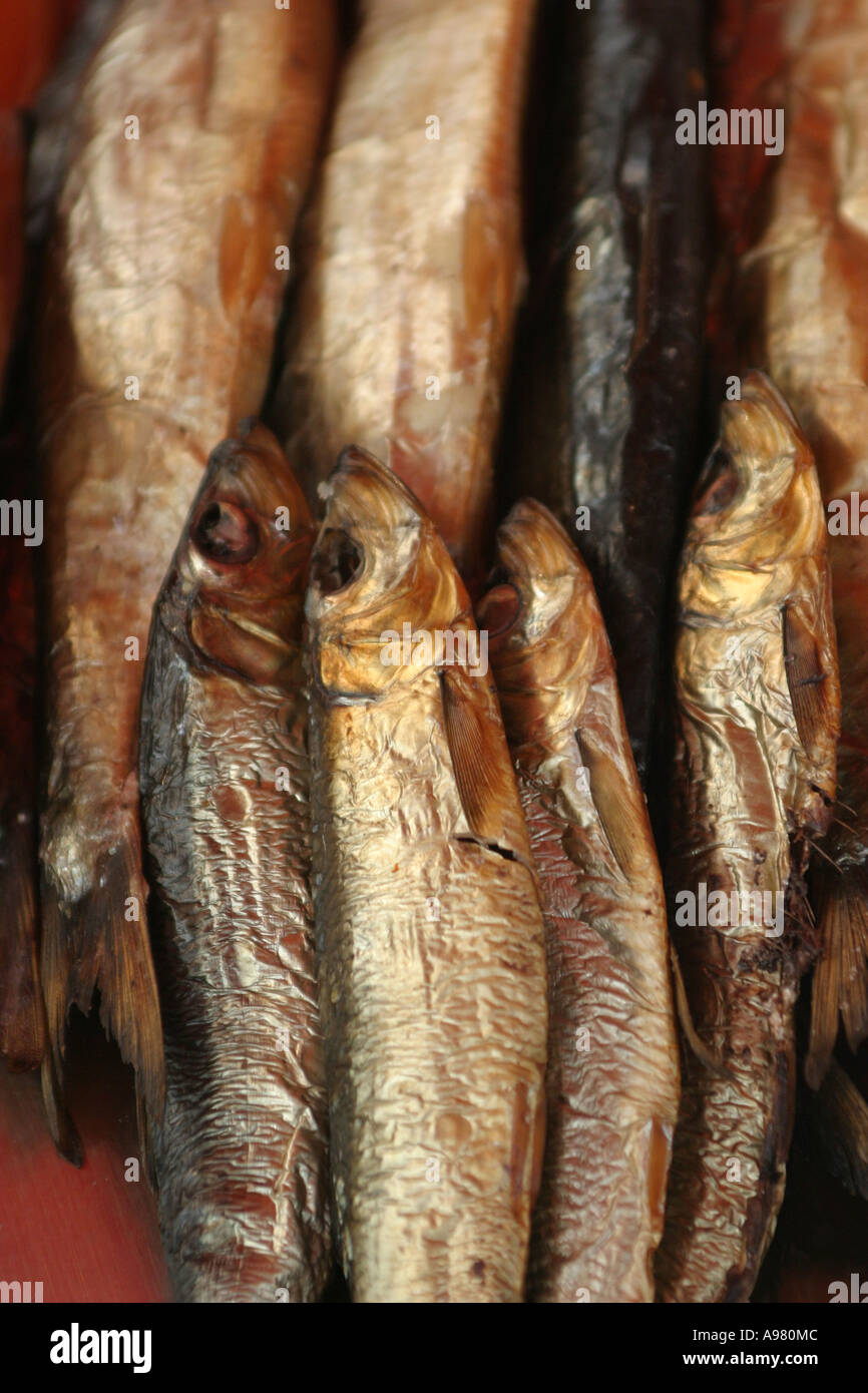 Sardines on sale in a fish market in Bergen Norway Stock Photo Alamy
