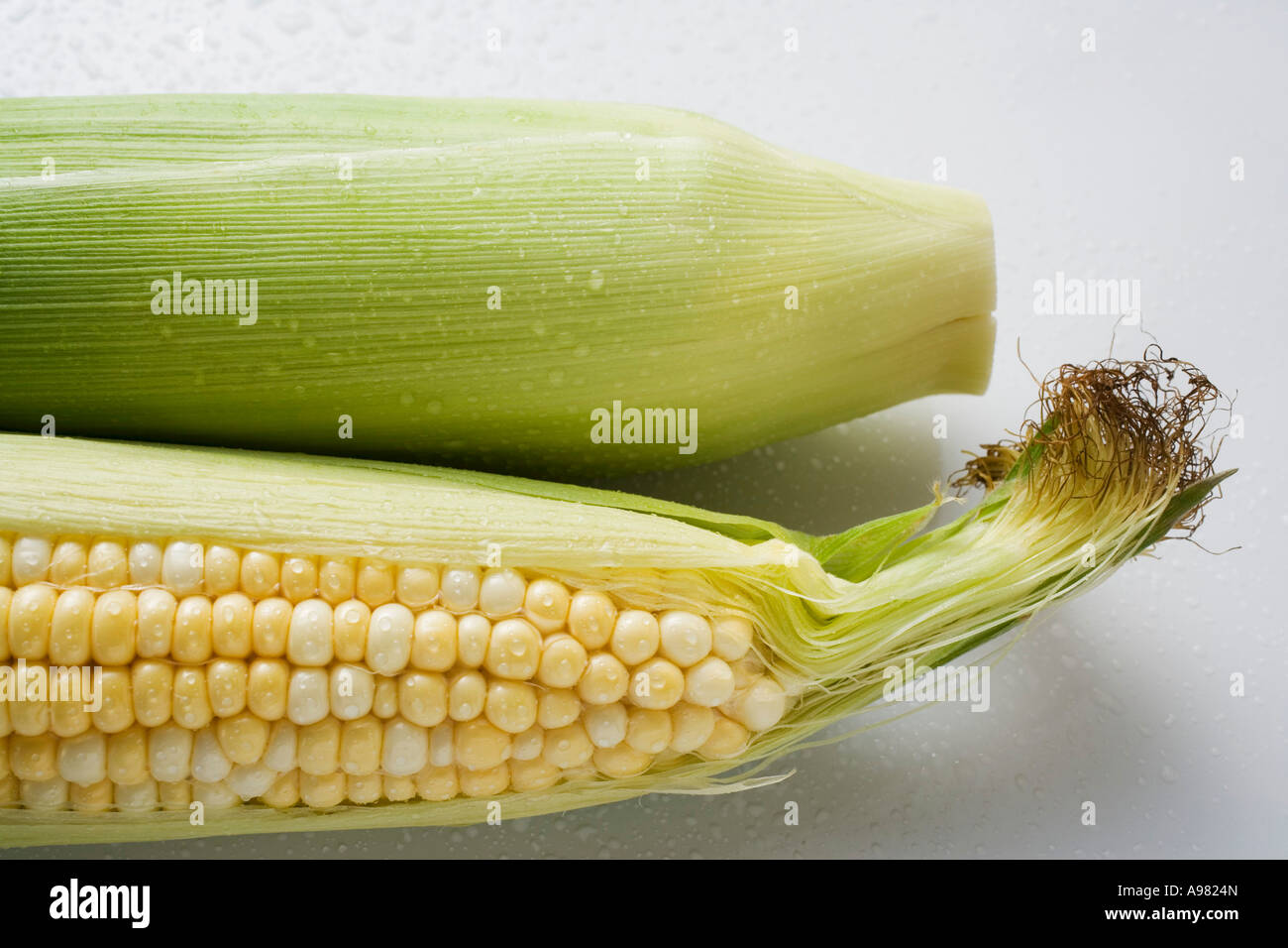 Two corn cobs with husks and silk FoodCollection Stock Photo