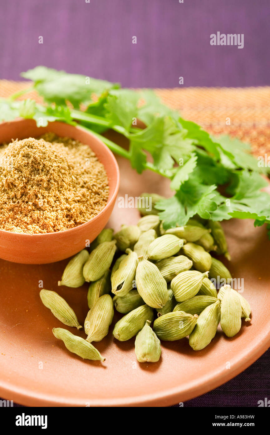 Coriander and cardamom pods FoodCollection Stock Photo Alamy