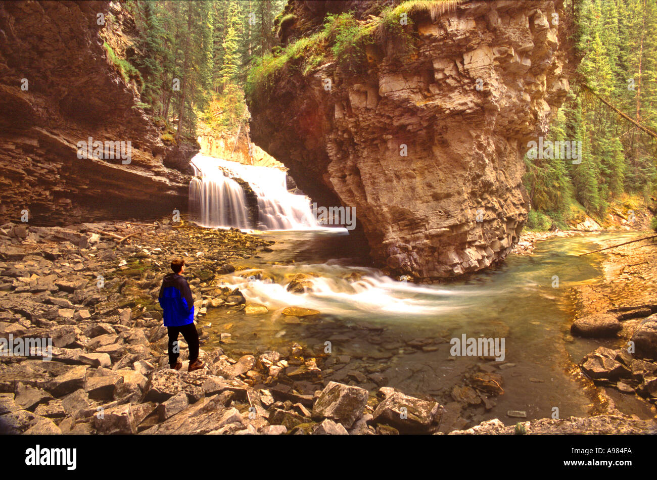 Hiker in Johnson creek canyon Banff National Park Alberta Canada Stock Photo