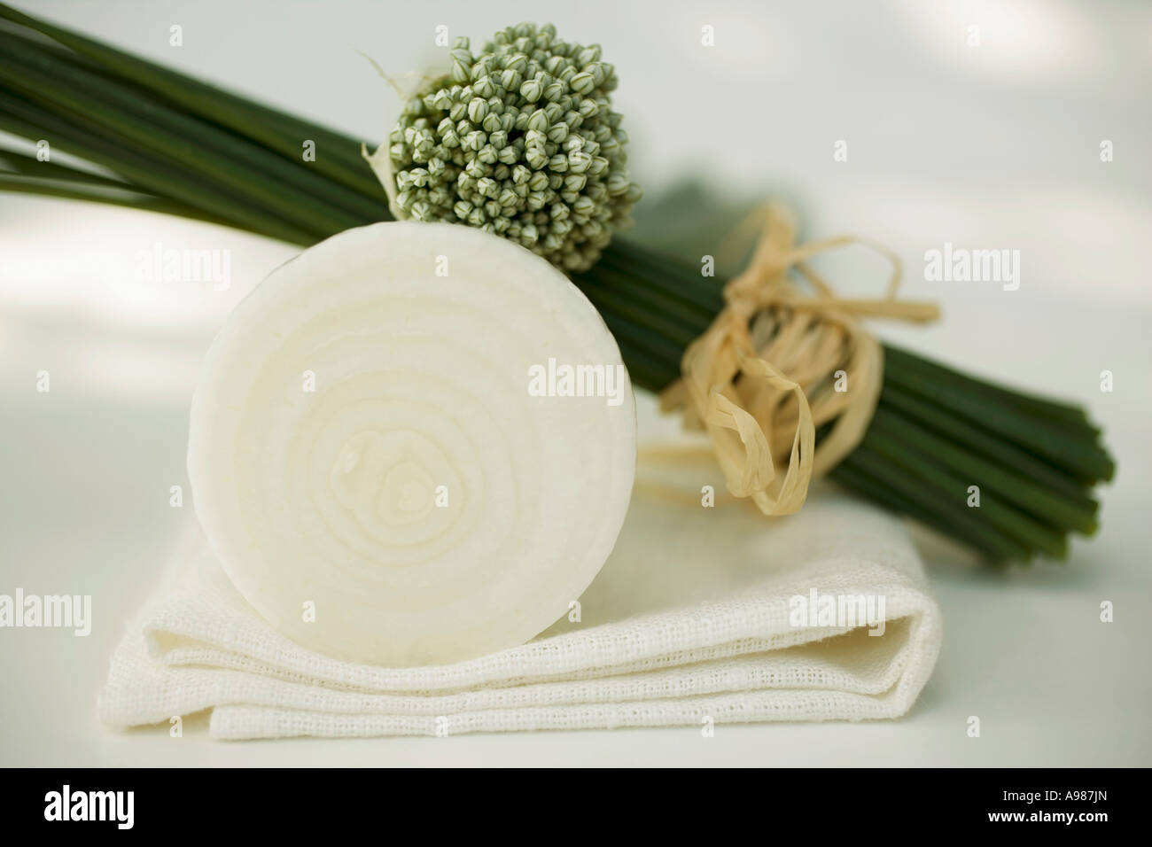 Onion cut surface chives and garlic chives FoodCollection Stock Photo Alamy
