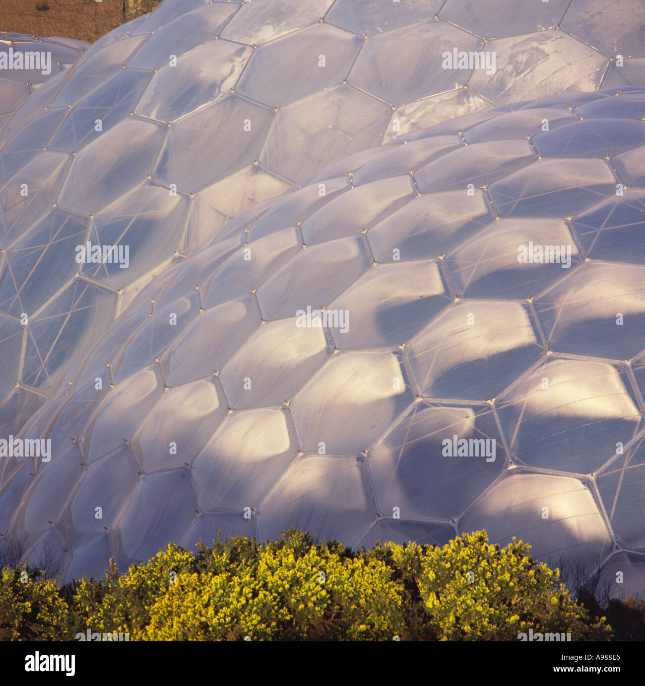 Looking down on a close up of the roof sections of Biome domes at The Eden Project Cornwall England Stock Photo