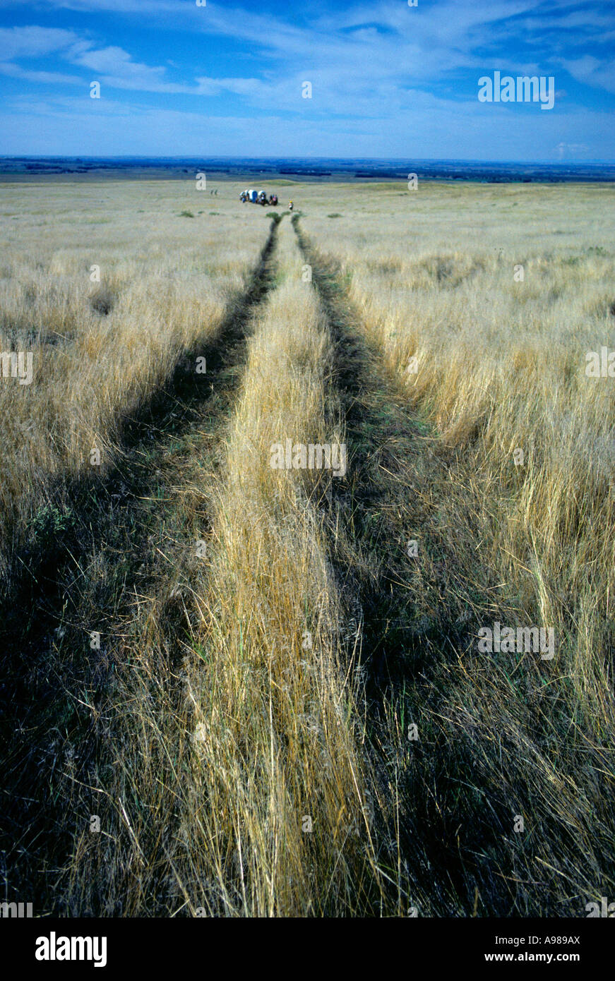 Nebraska's Wagon Train: Where History Meets Adventure