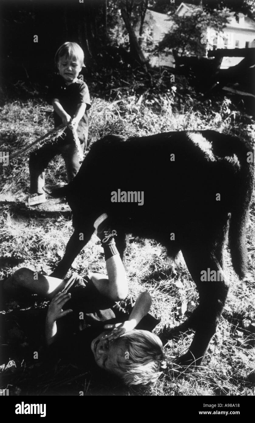Young boy trying to pull a calf with a rope tied around its neck Stock Photo