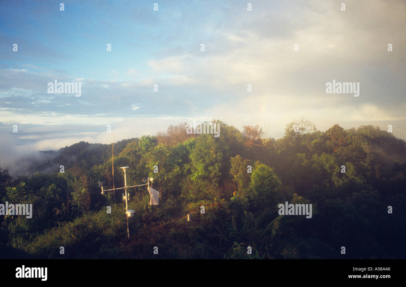 Scientific equipment in the rainforest Stock Photo