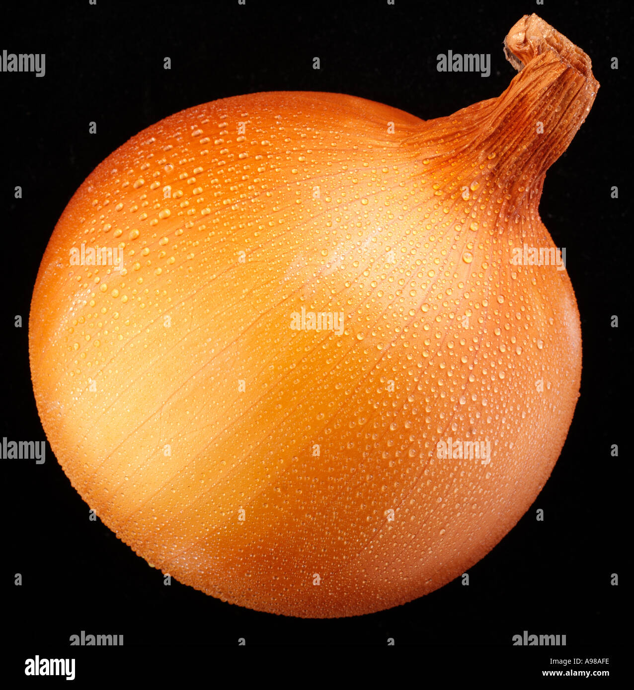 Skin of an onion hi-res stock photography and images - Alamy