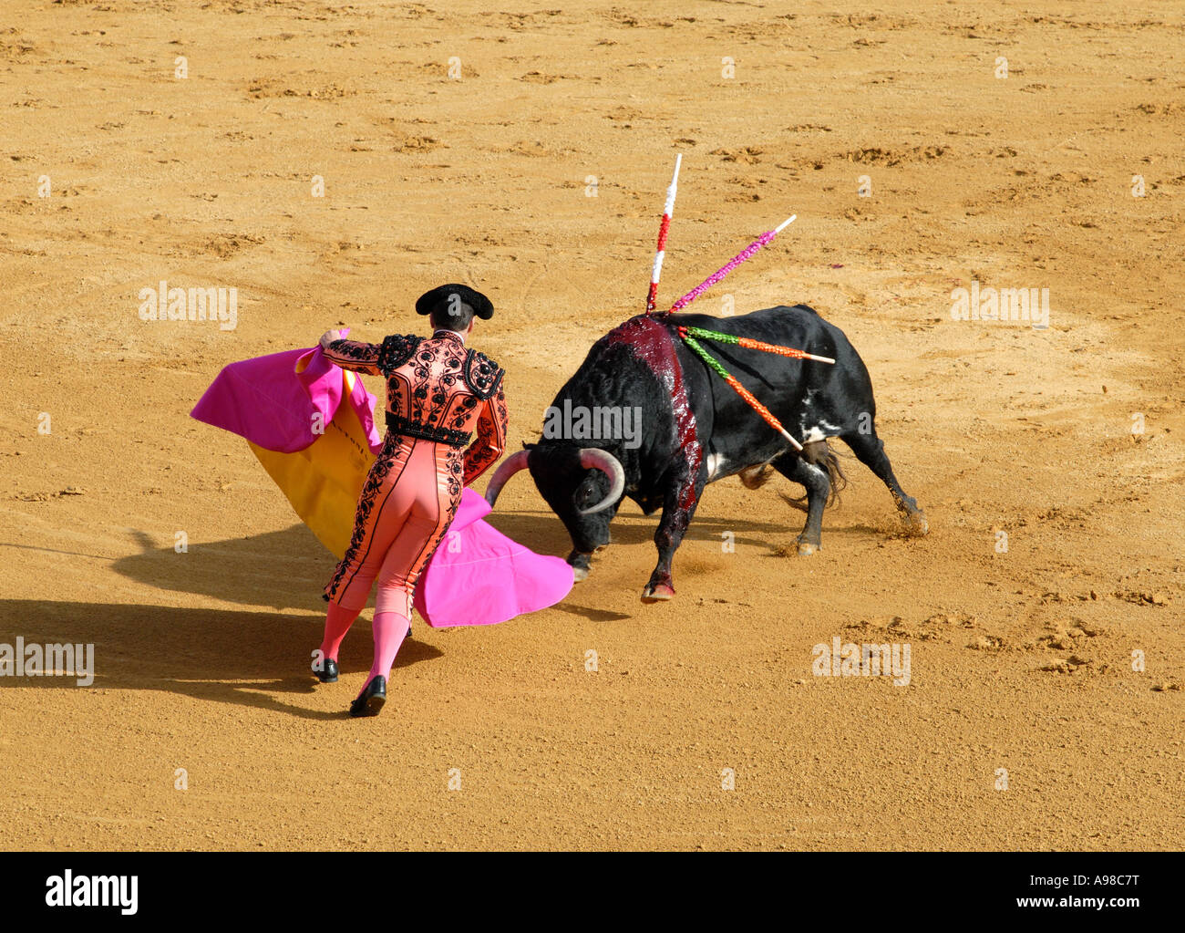 Bullfight in Seville Stock Photo Alamy
