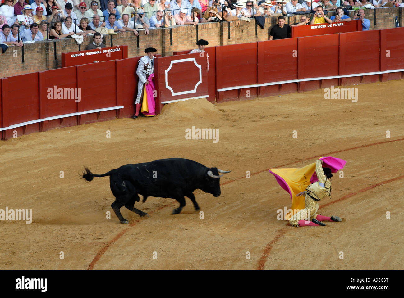Bullfight in Seville Stock Photo Alamy
