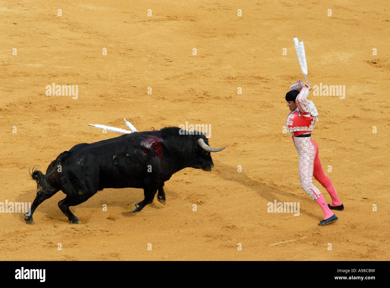 Banderillero, The Torero Who, On Foot, Places The Darts In The Bull, The  Banderillas Is Brightly-coloured Darts Placed In The Bull Stock Photo,  Picture and Royalty Free Image. Image 23583464.
