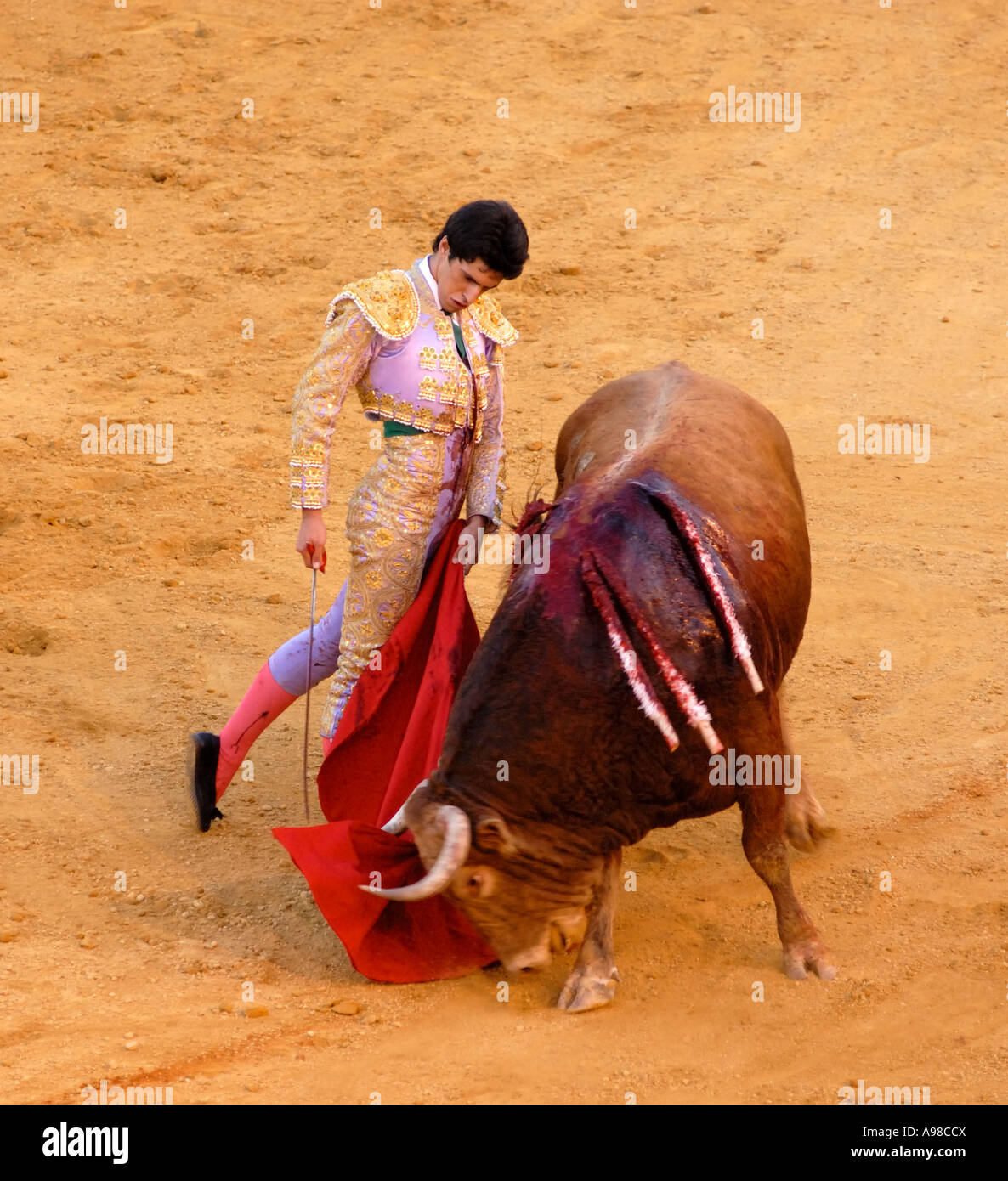 Bullfight in Seville Stock Photo Alamy