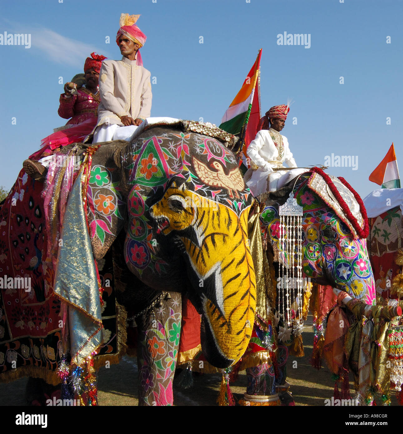 Elephants on parade, Jaipur Elephant Festival Stock Photo - Alamy