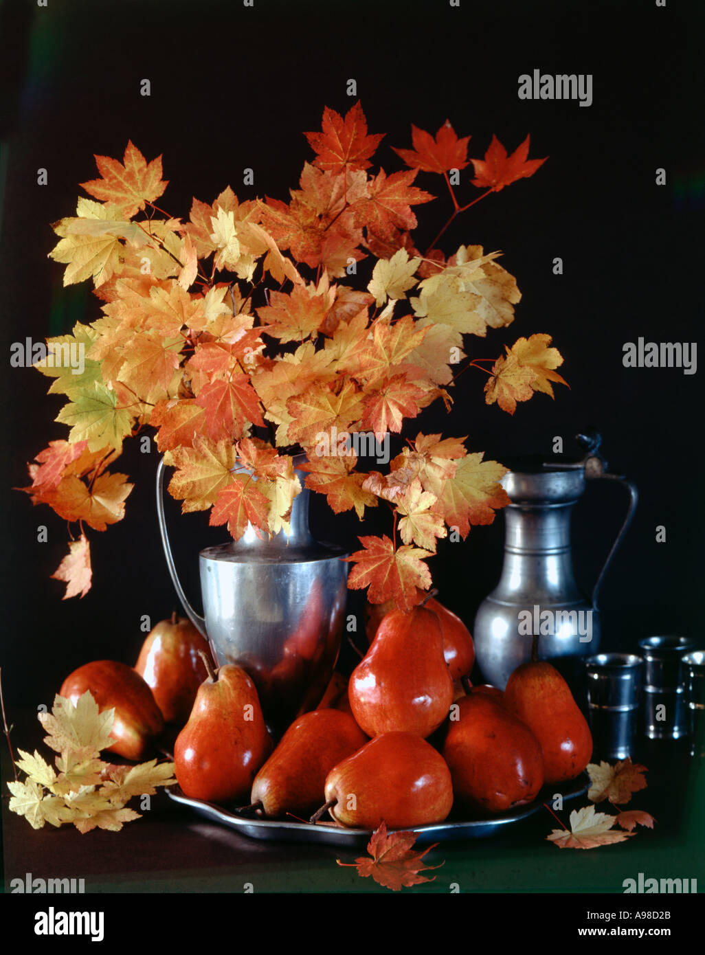 Harvest still life showing vine maple branches red Bartlett pears and Pewter pieces against a dark background Stock Photo