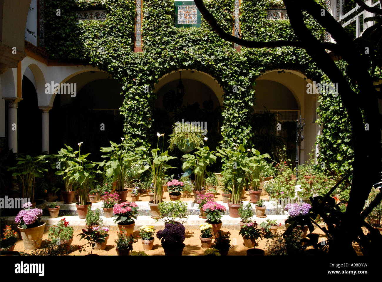 Patio in Seville, Spain Stock Photo Alamy
