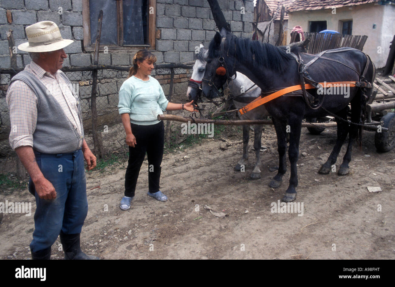 A Gypsy man and woman looking at two horses hitched to wagon in Transylvanian, Romanian village of Soard. Stock Photo
