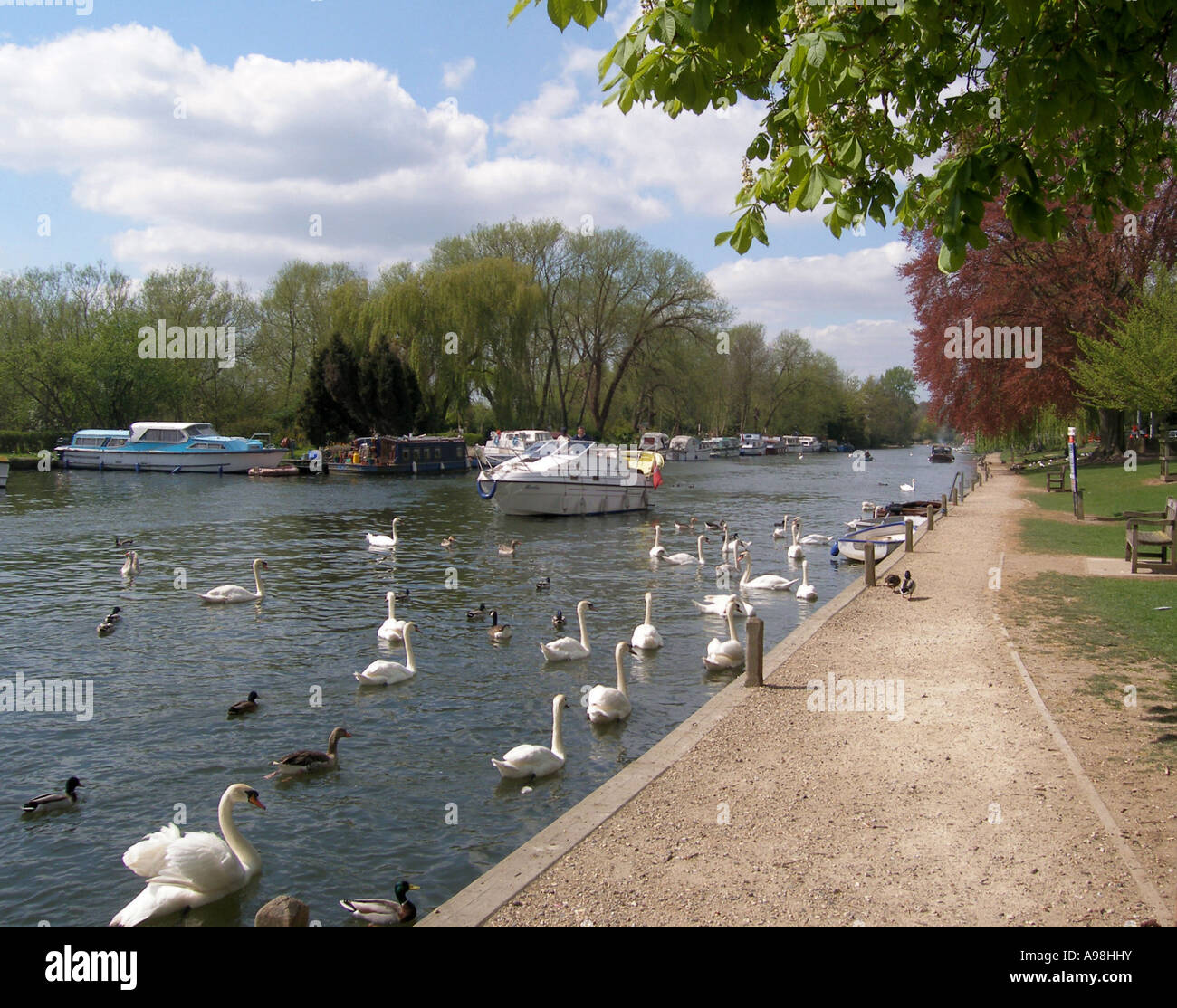 The Norfolk Broads, River Yare by the River Green at Thorpe St Andrew