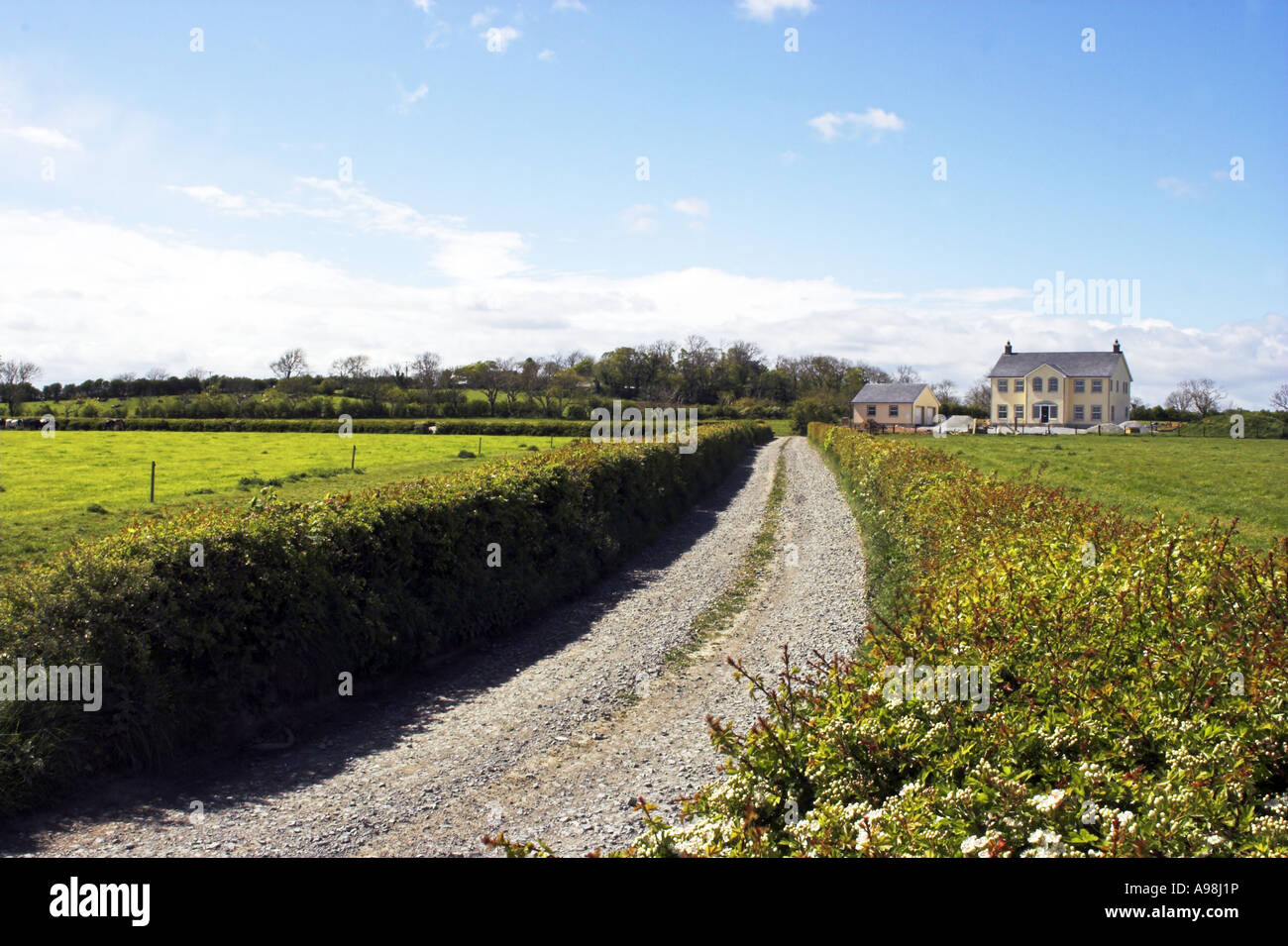 Lane leading to house set in countryside Stock Photo Alamy