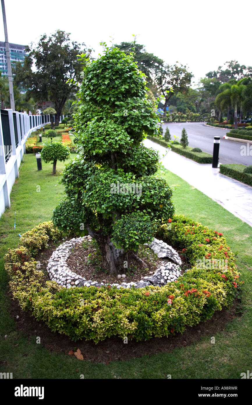 Beautiful Thai Botanical ornamental formal Garden based at the Dusit Resort hotel grounds in Pattaya, Southern Thailand Stock Photo