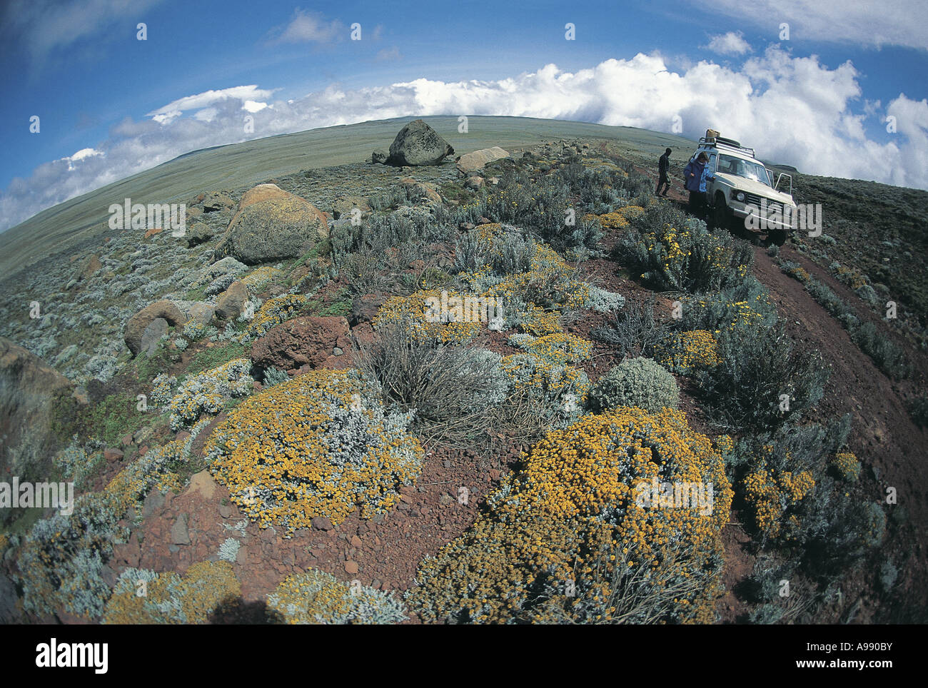 Vehicle amongst mosses Helichrysum and lichens Senatti Plateau 15 000 feet Bale Mountains Ethiopia Stock Photo