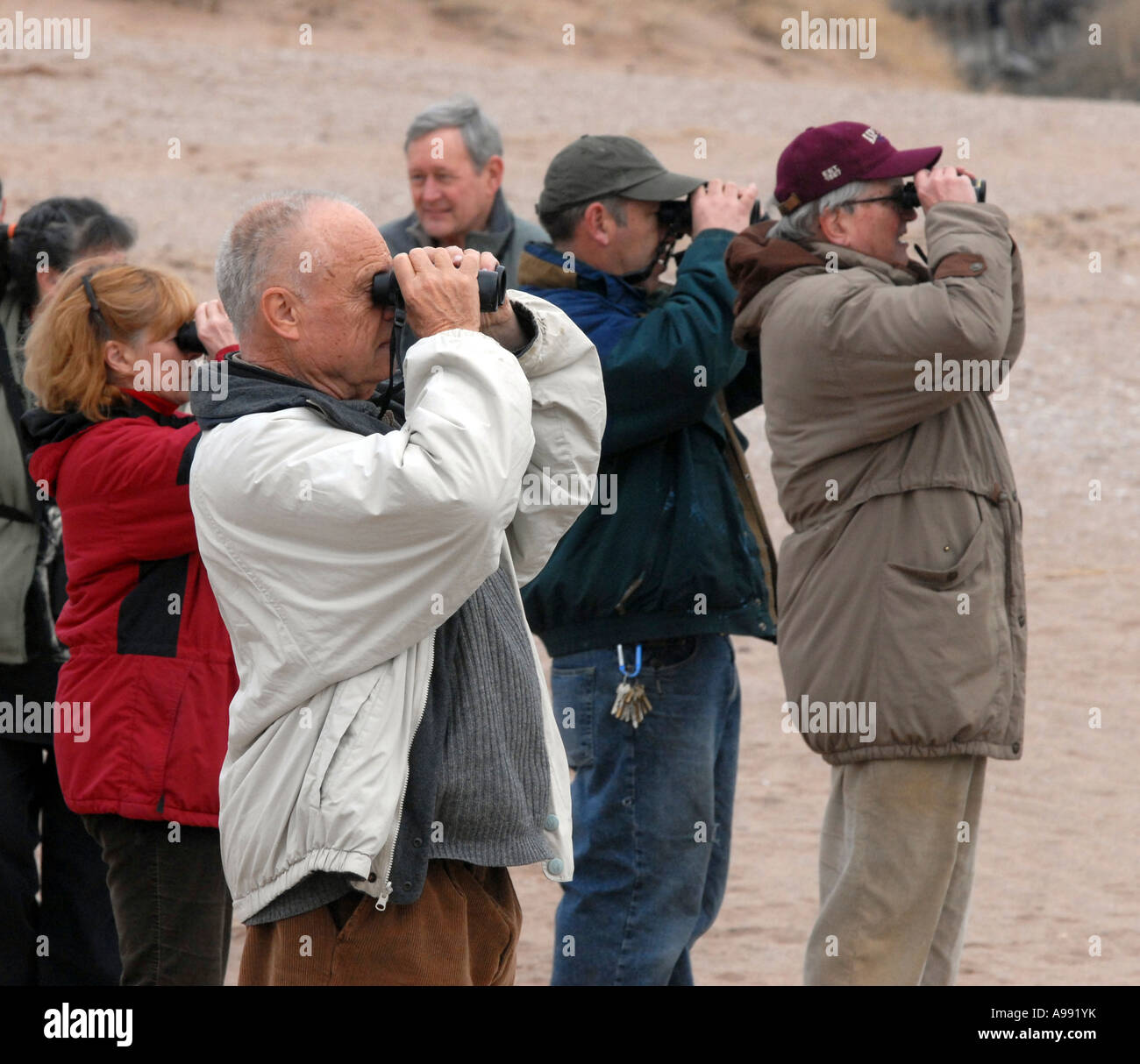 Bird Watchers portrait of group New Haven Bird Club Stock Photo Alamy