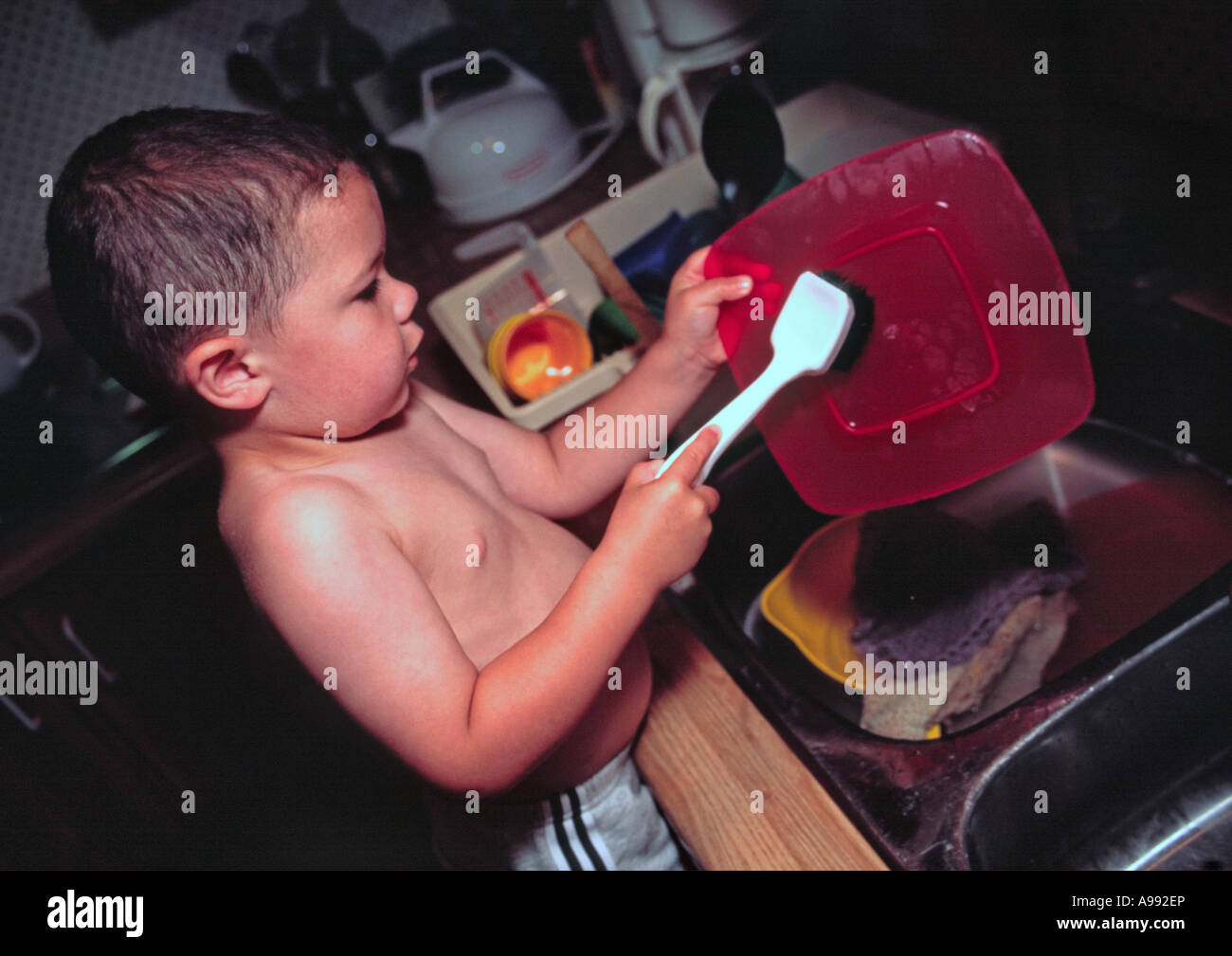 3 yr old boy doing dishes Stock Photo
