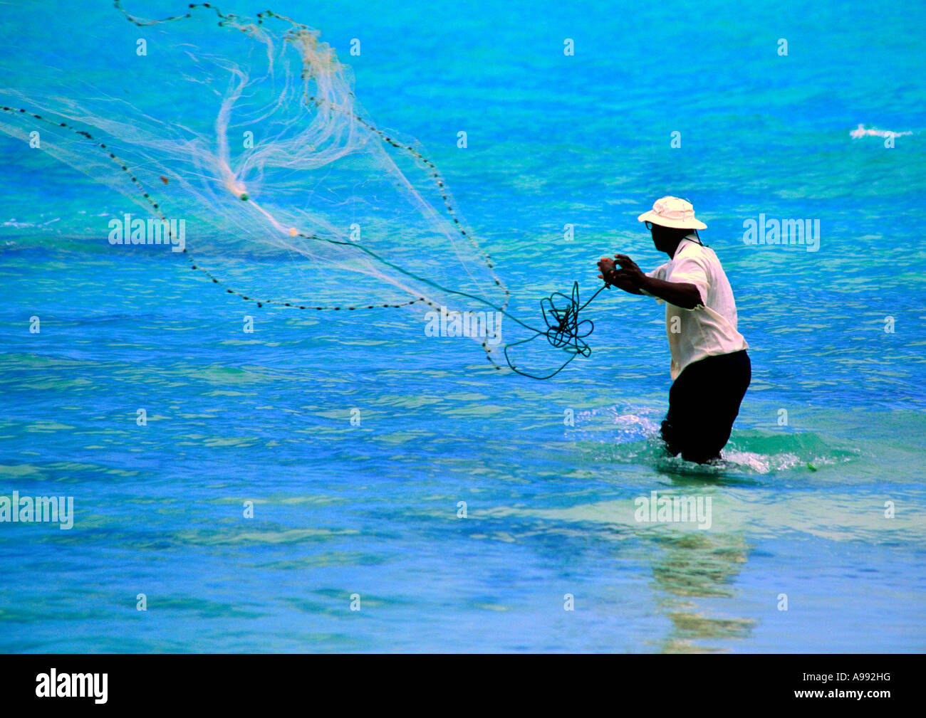 https://c8.alamy.com/comp/A992HG/barbados-fisherman-throwing-a-cast-net-A992HG.jpg