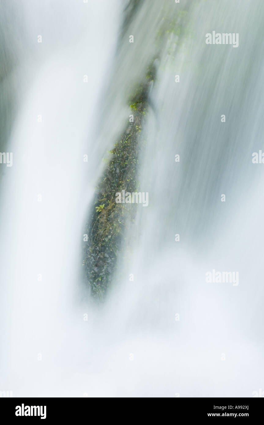 Waterfall detail, Quinault Valley, Olympic National Park, Washington, MAY Stock Photo