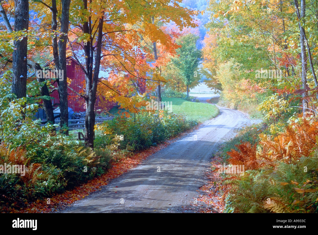 Barn country road with Fall foliage in New York Stock Photo - Alamy