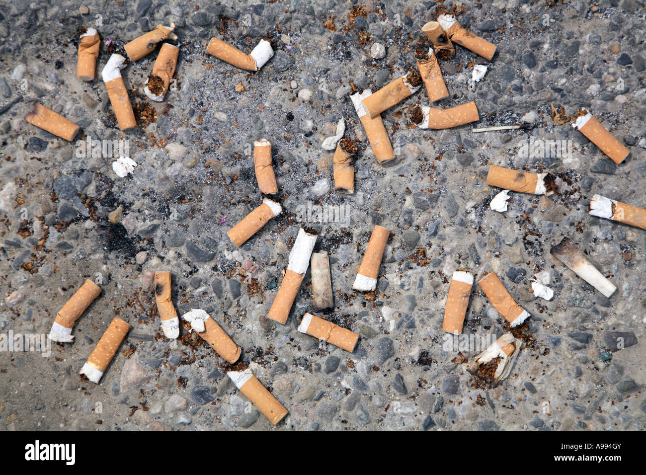 expensive marlboro cigarettes The Most Expensive Cigarettes