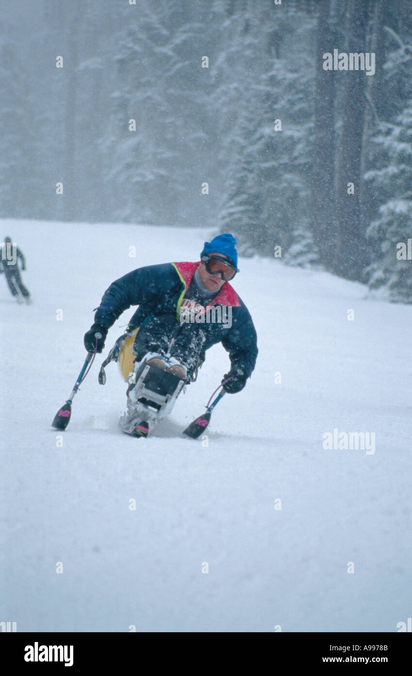 Handicapped skier on a mono ski skiing downhill during snowy day Stock Photo