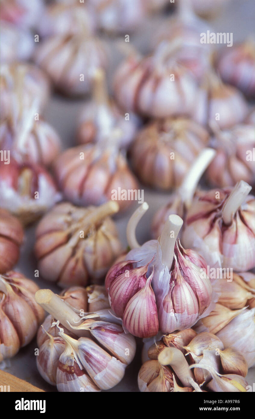 garlic market Piazza del Carmin Palmero Sicily Italy Stock Photo